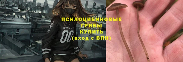 шишки Абаза