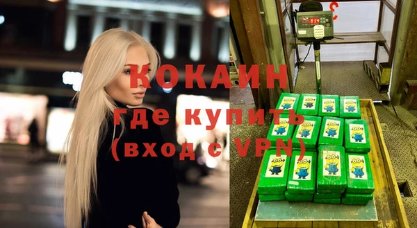 шишки Абаза
