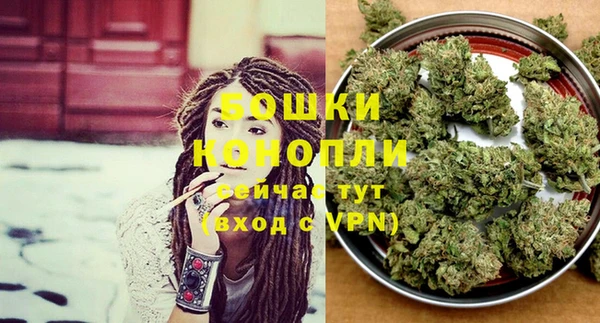 сатива Протвино