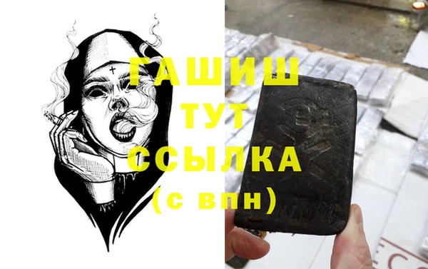 шишки Абаза
