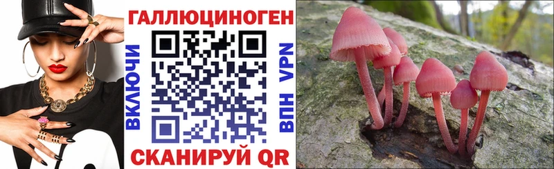 Псилоцибиновые грибы мухоморы даркнет наркотические препараты Алапаевск