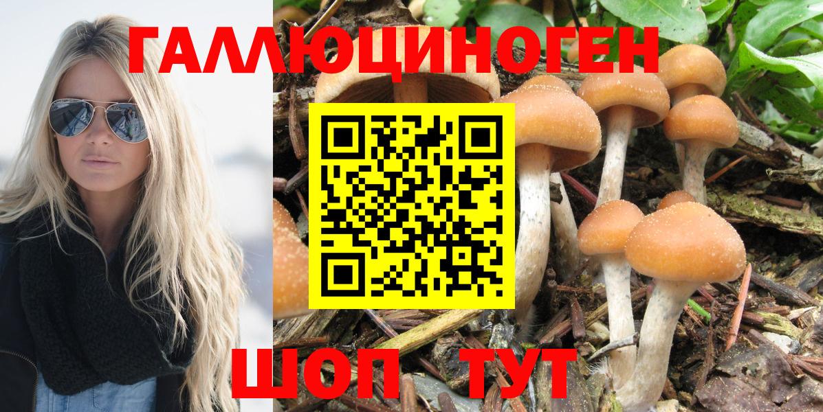 Псилоцибиновые грибы Cubensis Алапаевск