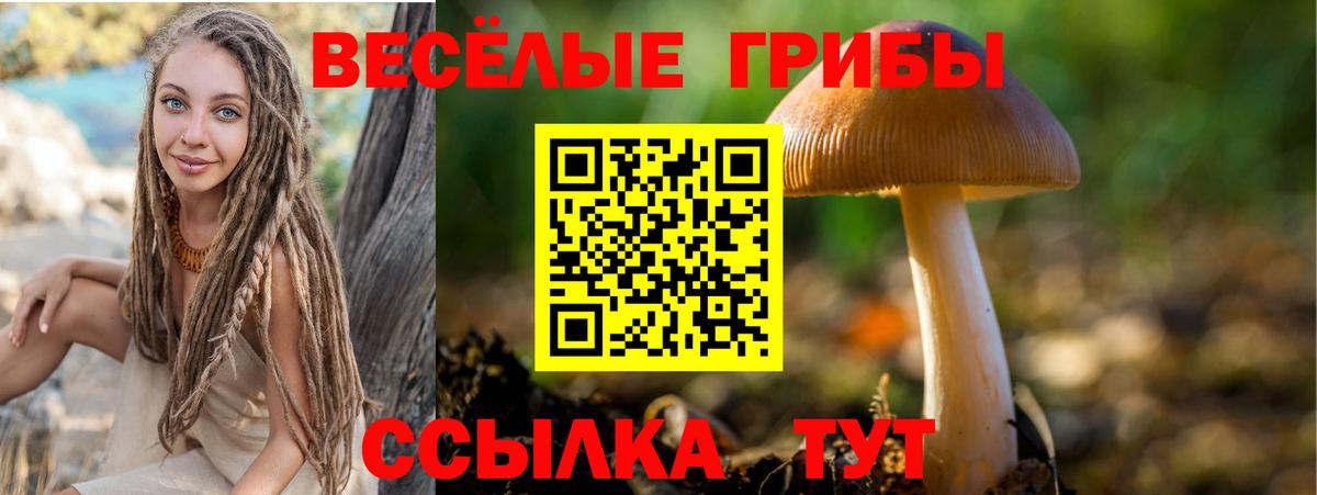 Алапаевск  Галлюциногенные грибы ЛСД  Вход с VPN 